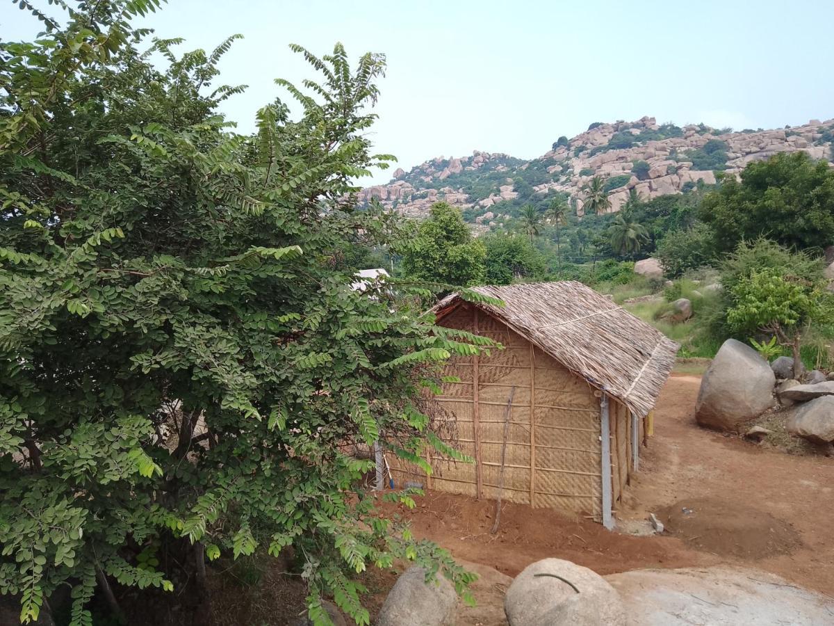 Monkey Paradise Hampi Хампи Экстерьер фото