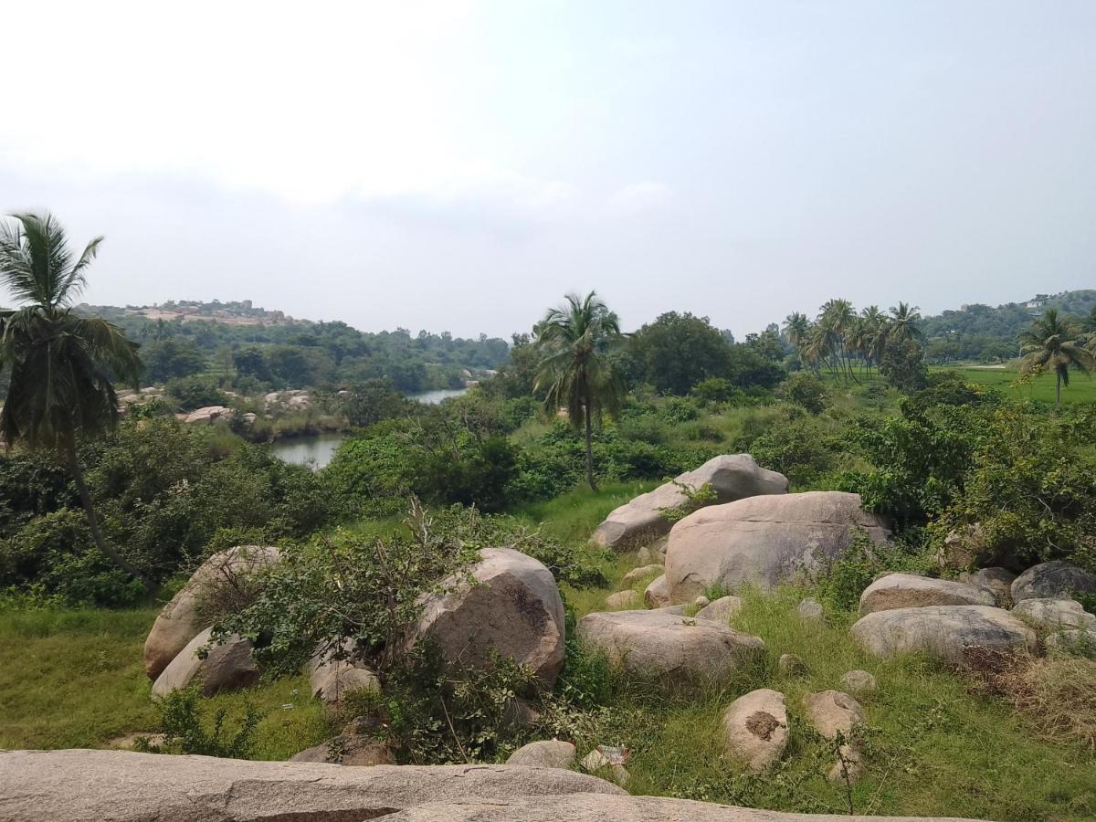 Monkey Paradise Hampi Хампи Экстерьер фото
