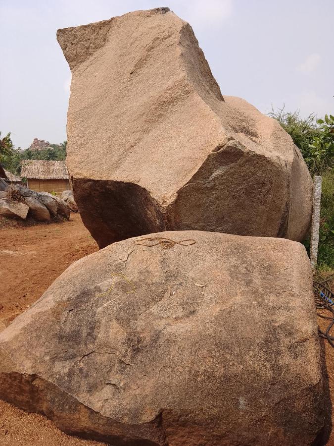 Monkey Paradise Hampi Хампи Экстерьер фото