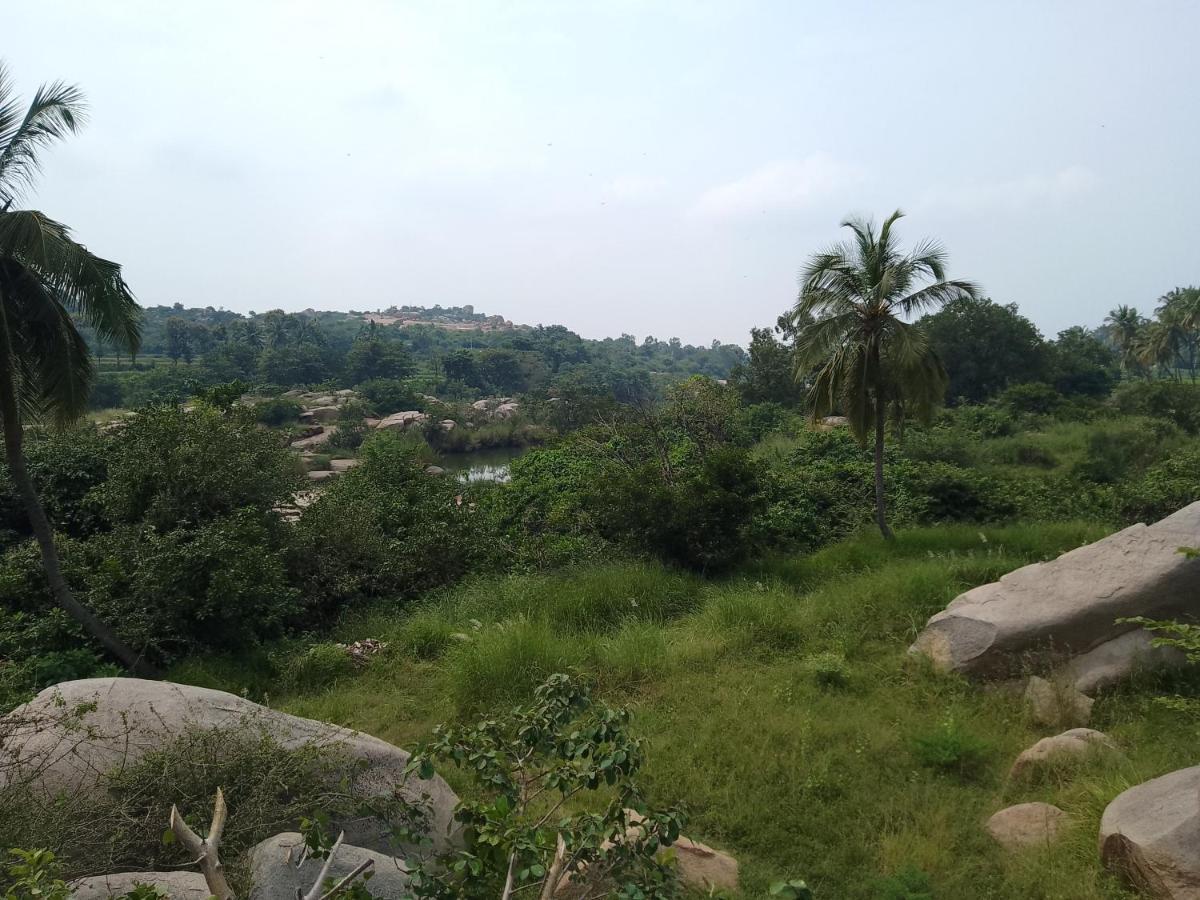 Monkey Paradise Hampi Хампи Экстерьер фото
