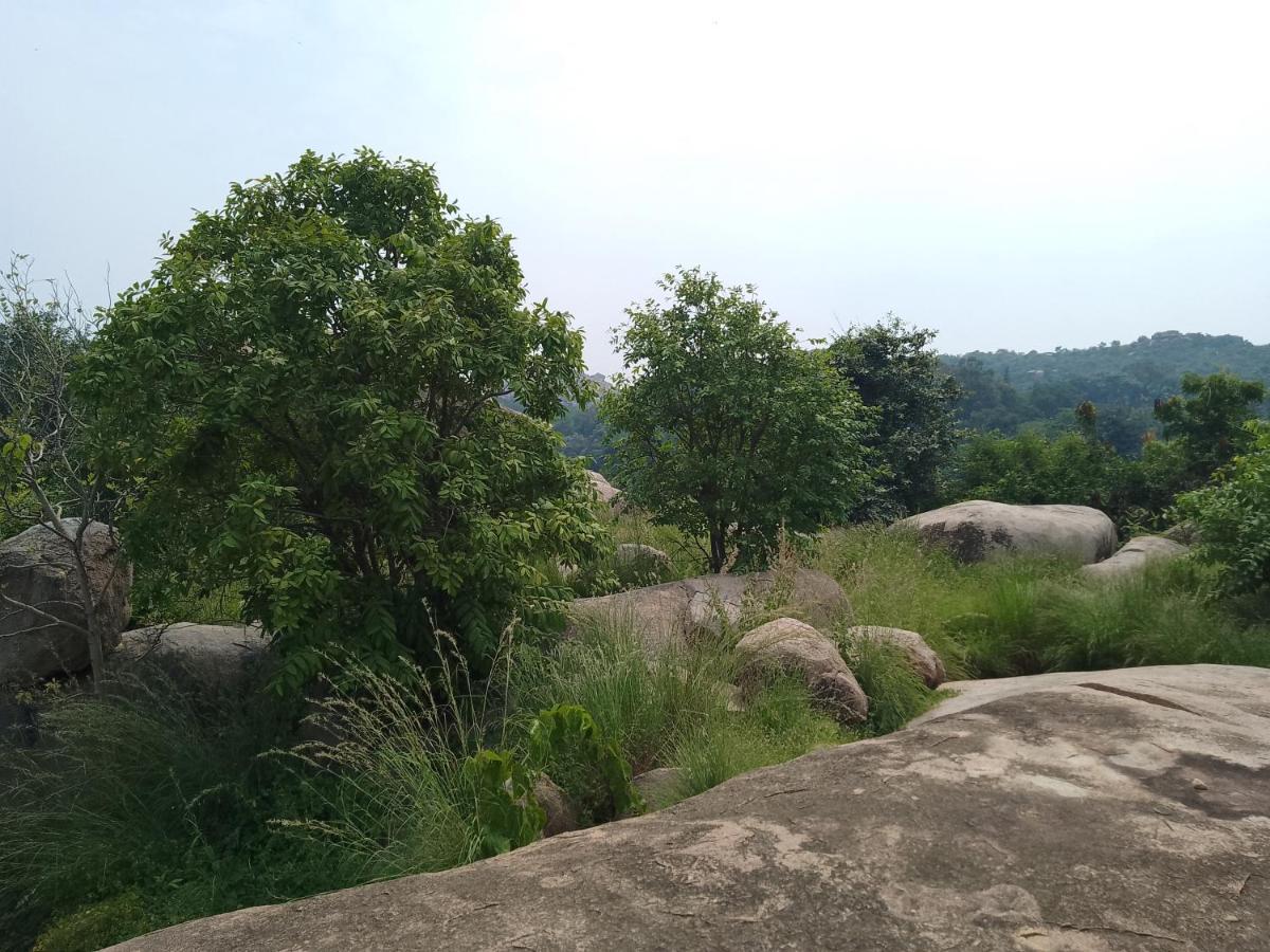 Monkey Paradise Hampi Хампи Экстерьер фото